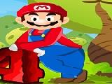 Play Mario riding 4