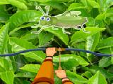Play Hidden grasshopper