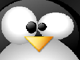 Play Linux system