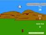 Play Duck hunting