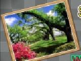 Jugar a Wonderful nature sort my tiles