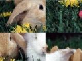 Play Easter bunny puzzle