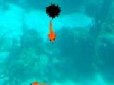 Play Fish food