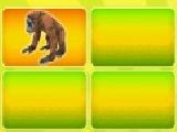 Play Animal puzzle mania