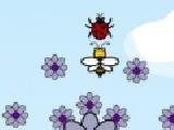 Play Crazee bee