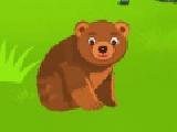 Play Bear adventure