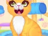 Play Precious kitty dentist