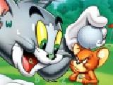Play Tom and jerry hidden alphabets