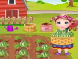 Play Kim watermelon farming