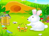 Play Happy bunny caring
