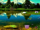 Play Nature forest escape