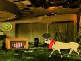 Play Abandoned resort piggy escape