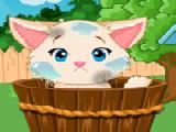 Play Lovely kitten caring