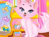 Play Lovely princess cat