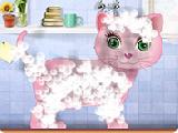 Play Kitty grooming salon 2