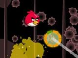 Play Angry birds shot