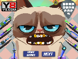 Play Grumpy cat dental care
