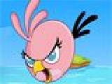 Play Angry birds escape plan