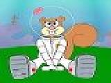 Play Sandy cheeks puzzle