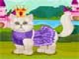 Play Persian cat princess spa salon