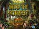 Play Into the forest