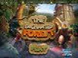 Play The enchanted forest