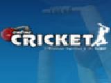 Play Online cricket