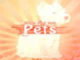 Spielen Know your pets quiz