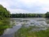 Play Promised land state park jigsaw