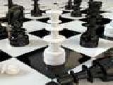 Play Chess 3d