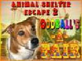 Play Animal shelter escape 2