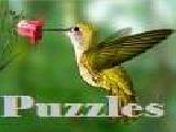 Jugar a Puzzles with hummingbirds