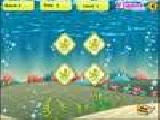 Play Sea fish memory