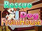 Play Rescue dog from house