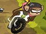 Play Monkey motocross island