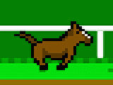 Play Impossible horse