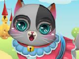 Play Cute kitten creator