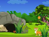Play Turkey escape