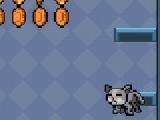 Play Stretchy cat