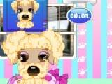 Play Puppy stylist