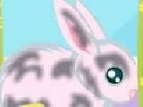 Play Take care of the little rabbit