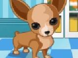 Play Fleego doggy dress up