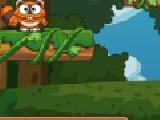 Play Racoon jump