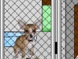 Play Animal shelter