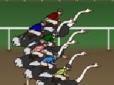 Play Ostrich racer