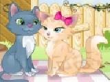 Play My kitty s kiss 2