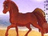 Play Fantasy horse maker