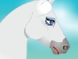 Play Galloping horse dress up