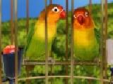 Play Bird cage decor