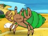 Play Diego: hermit crab rescue